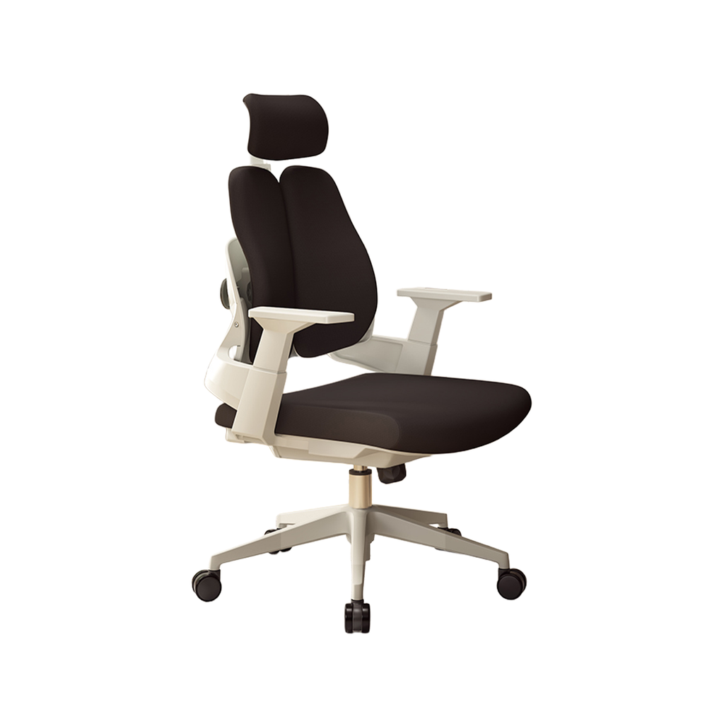 premium executive chair ergonomic office chair kaguyasuBGY 2052 main images 4