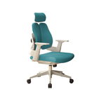 premium executive chair ergonomic office chair kaguyasuBGY 2052 main images 7