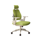 premium executive chair ergonomic office chair kaguyasuBGY 2052 main images 8